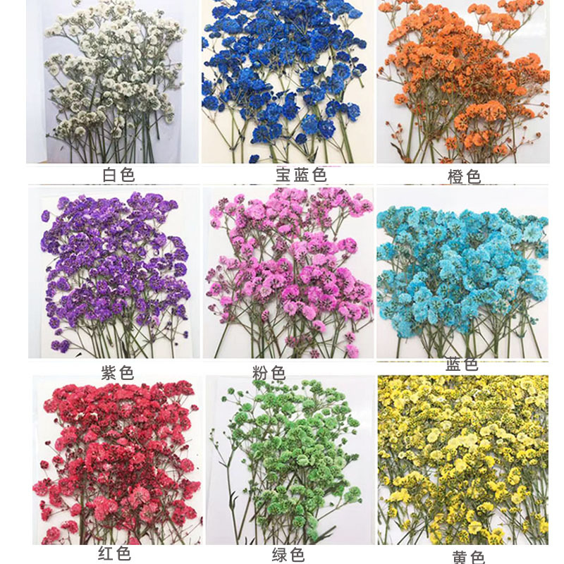 100 Pieces of Baby's Breath Pl – Dried Flower Bookmark recenzja i cena