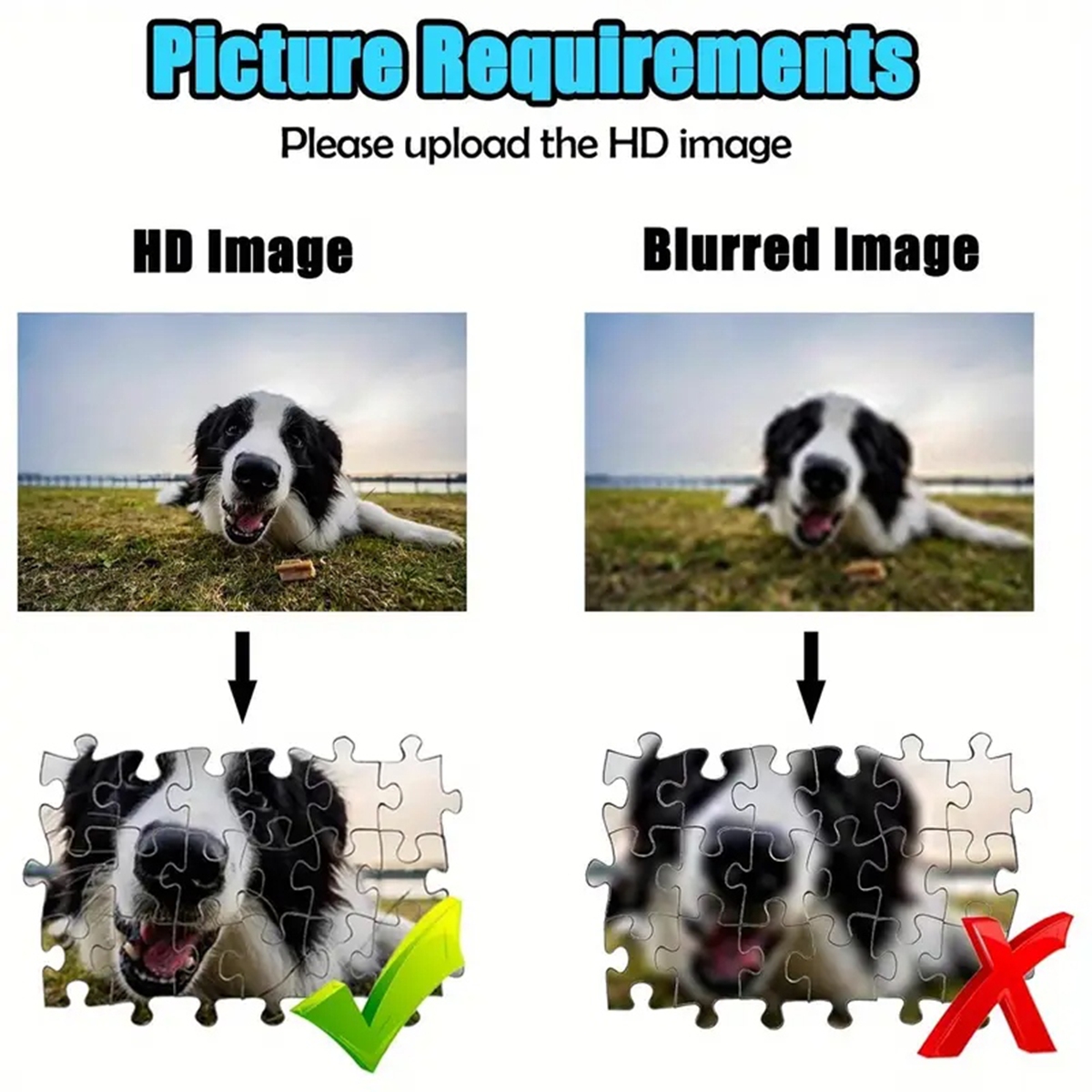 35/300/500/1000pcs Personalize – Pet Portrait Custom recenzja i cena