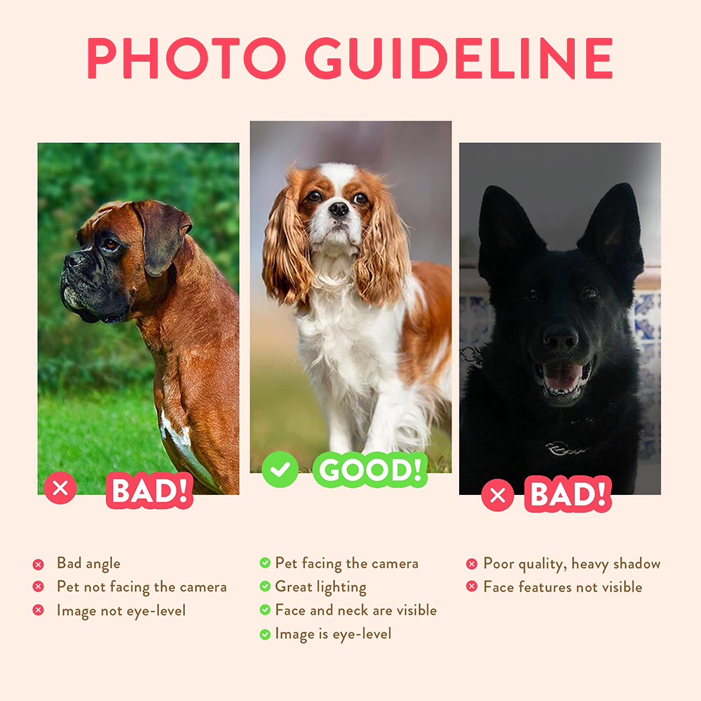 Personalized Pet Portraits Pho – Pet Portrait Custom recenzja i cena