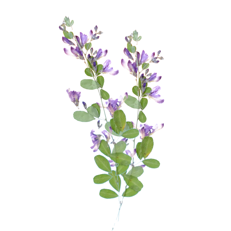 6pcs,nature Lespedeza Formosa  – Dried Flower Bookmark recenzja i cena