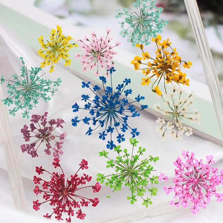 60pcs Pressed Dried 20-25mm Am – Dried Flower Bookmark recenzja i cena