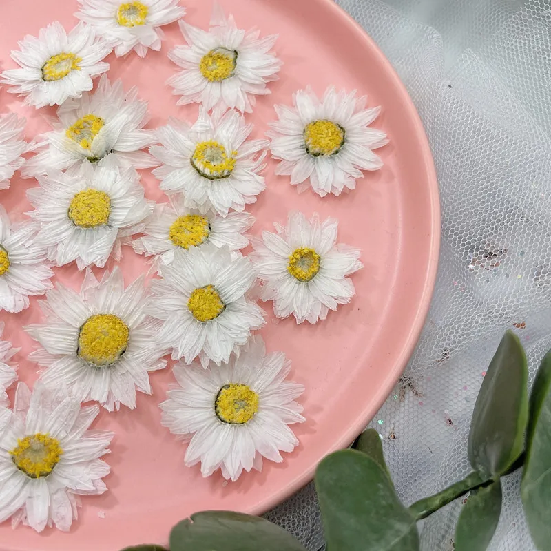 24pcs/2-4CM,Natural Pressed Fl – Dried Flower Bookmark recenzja i cena