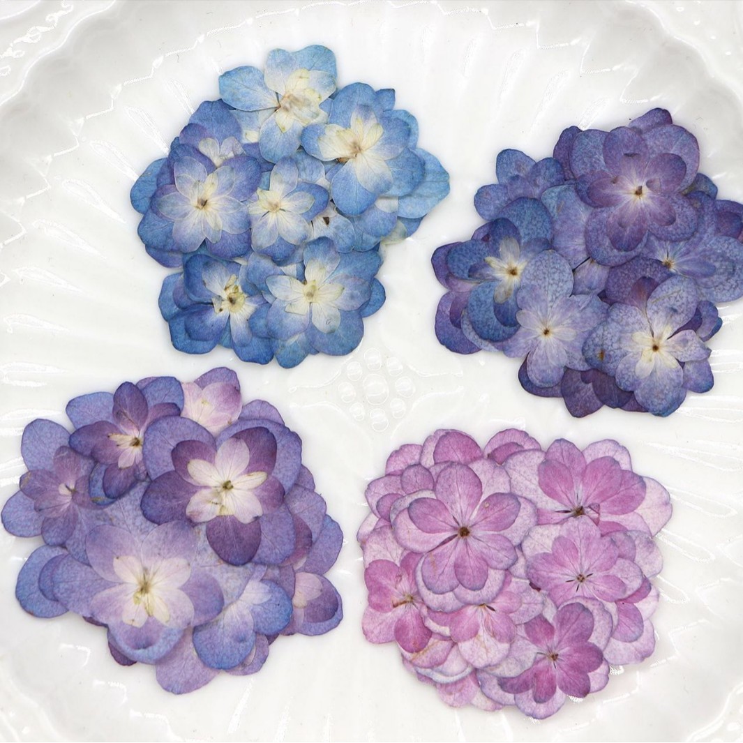 60Pcs Mini Double-Flowered Hyd – Dried Flower Bookmark recenzja i cena