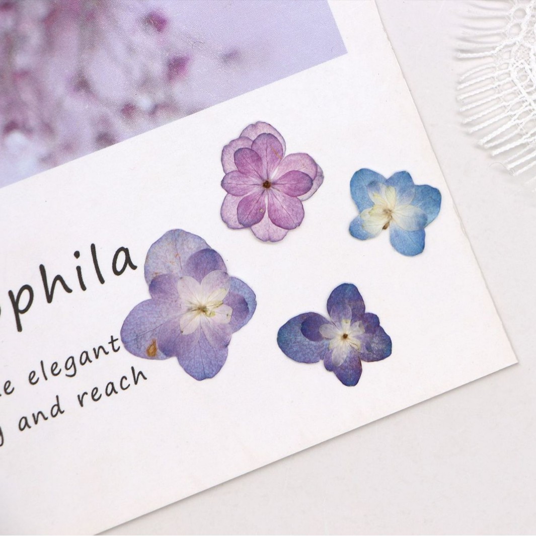60Pcs Mini Double-Flowered Hyd – Dried Flower Bookmark recenzja i cena