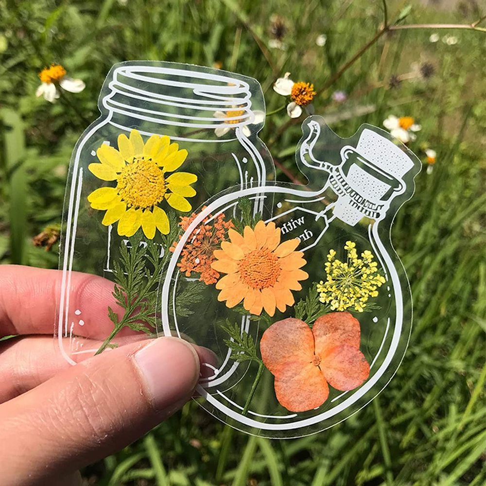 30Pcs Transparent Dried Flower – Dried Flower Bookmark recenzja i cena